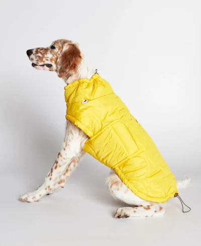 Manteau jaune pour chien