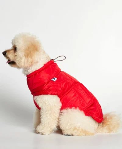 Manteau rouge pour chien