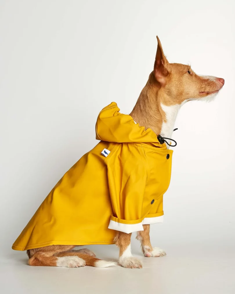 manteau imperméable pour chien jaune